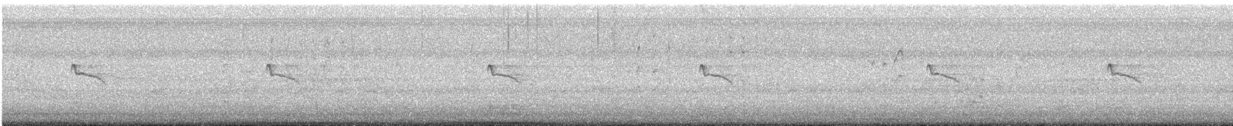 Black Phoebe - ML642131446