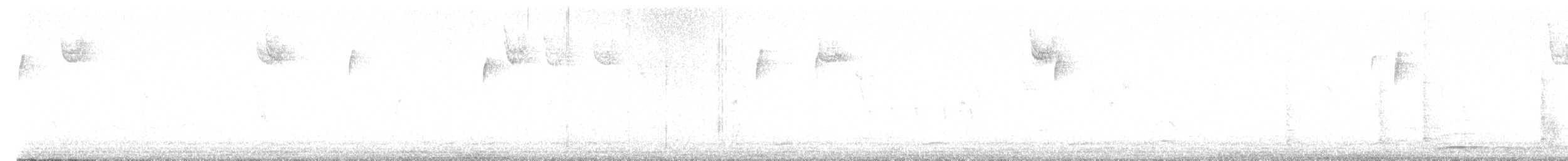 Tundra Swan - ML642132249