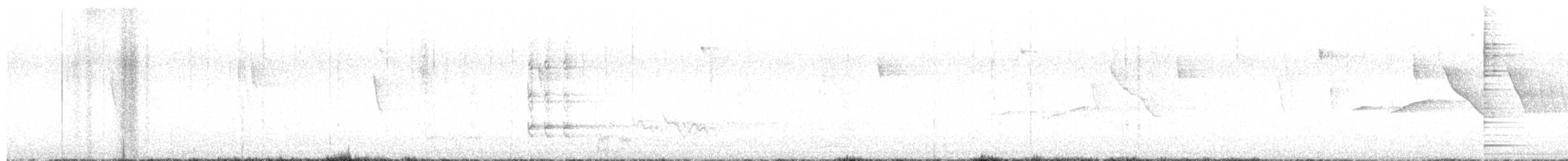 plysjskrike - ML642134972