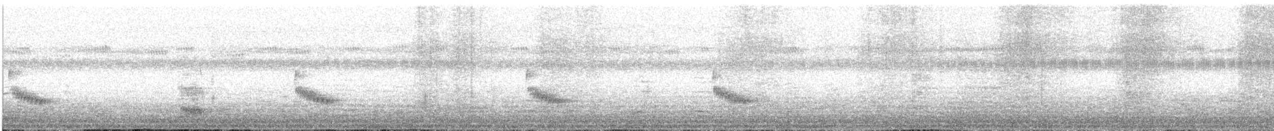 Carolina Wren - ML642135695