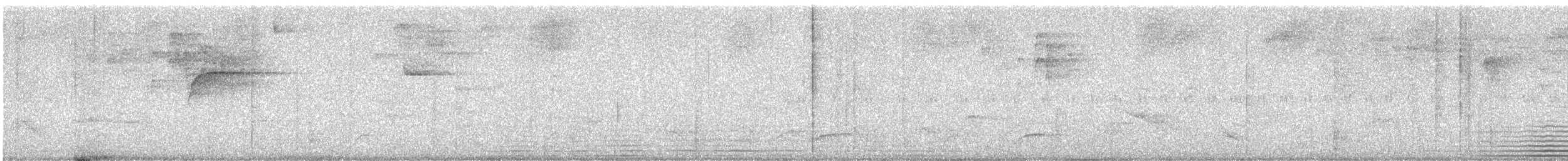 キメジロハエトリ - ML642136004