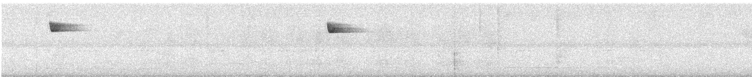 キメジロハエトリ - ML642136009