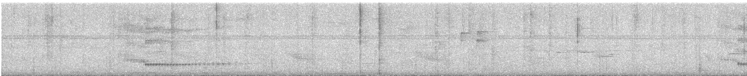 Northern Bentbill - ML642136102