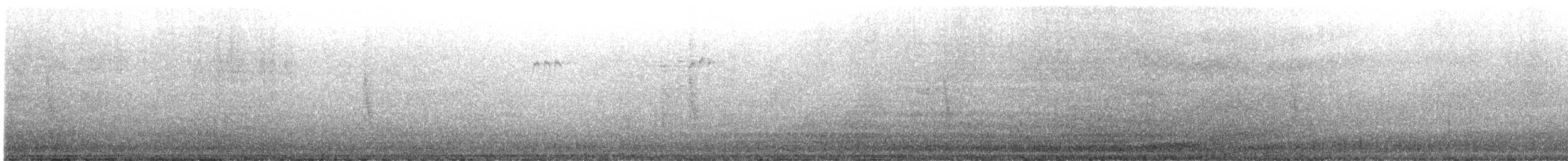 new world oriole sp. - ML642137503