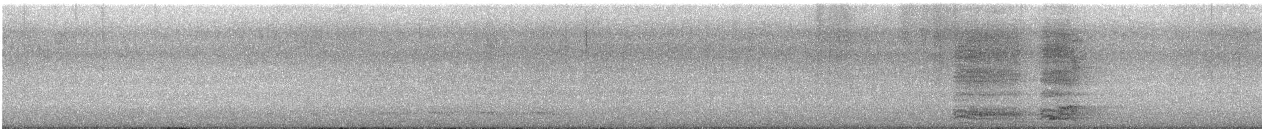 Amerikakrähe - ML642137831