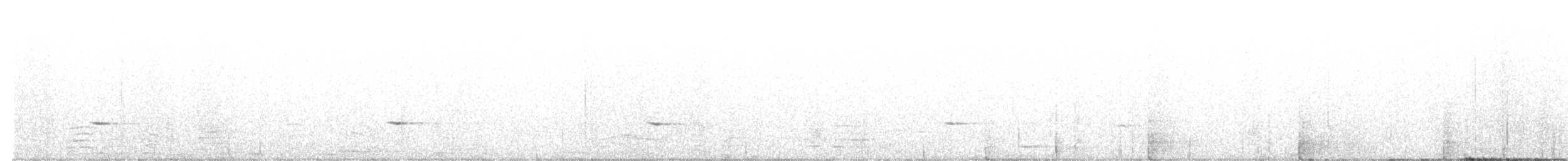 Townsend's Solitaire - ML642138102