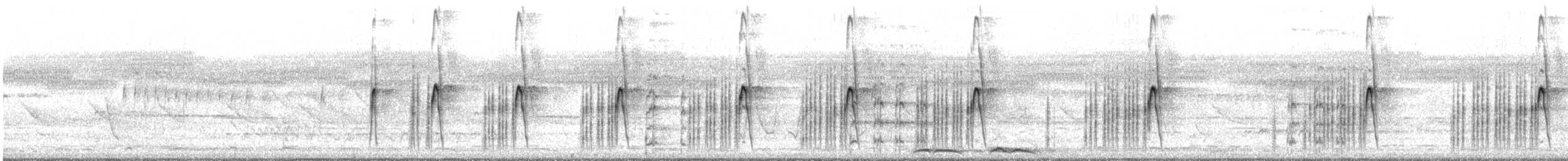 Black-fronted Dotterel - ML642138599
