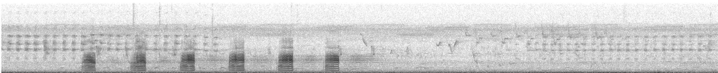 Pacific Black Duck - ML642139185