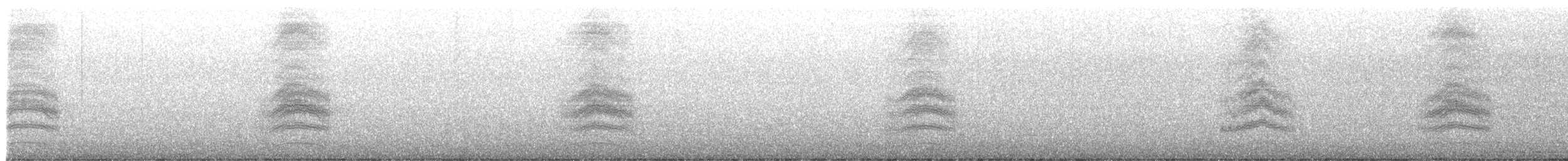 flekktovi (oregonus gr.) - ML642140614