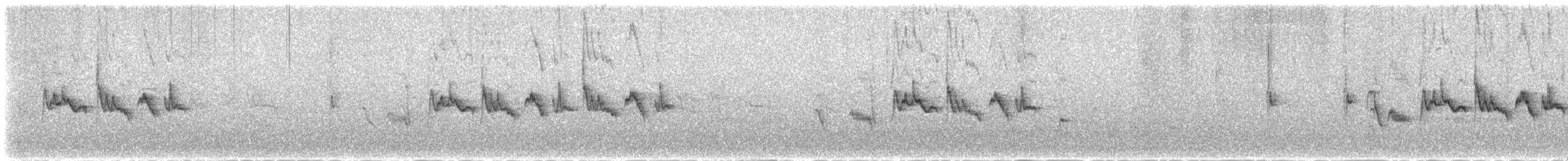 Silvereye - ML642142157