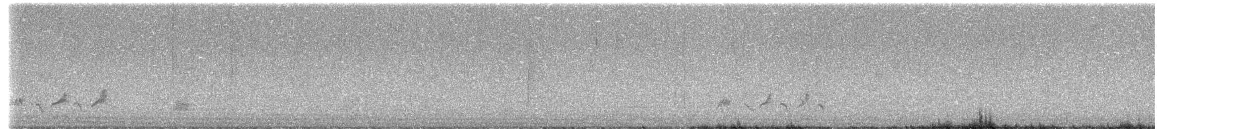 Chinese Hwamei - ML642142564