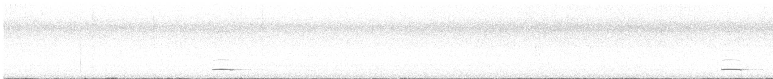 kulíšek tamaulipaský - ML642143146