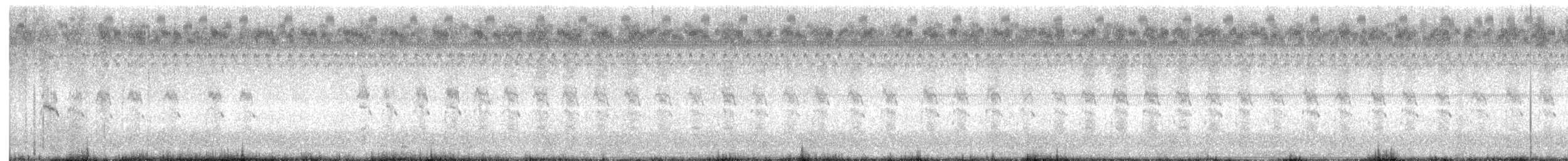 Forster's Tern - ML642143681
