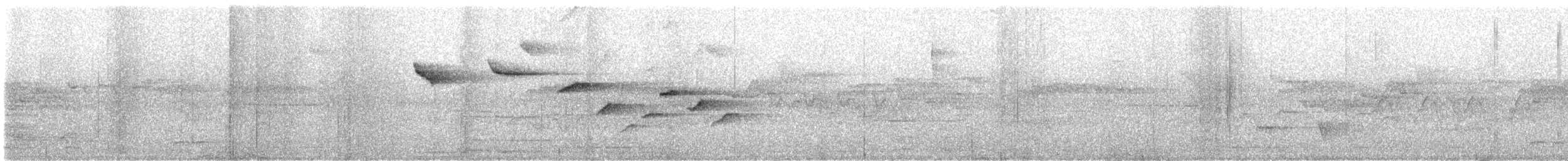 Бор шувууны багын тодорхойгүй зүйл - ML642146511