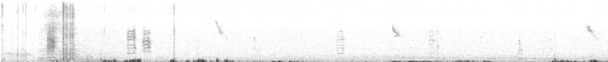 Beccaccino - ML642148585