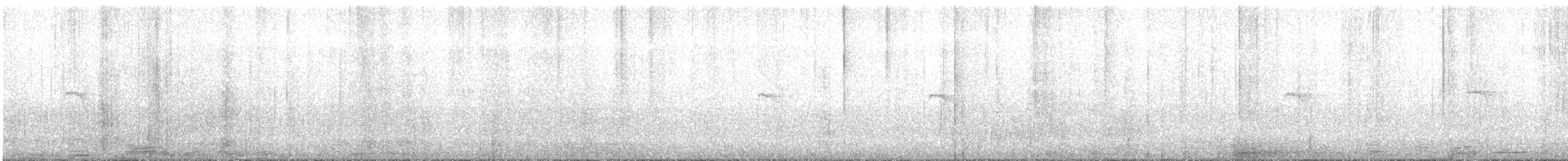 Txioa sp. - ML642149133