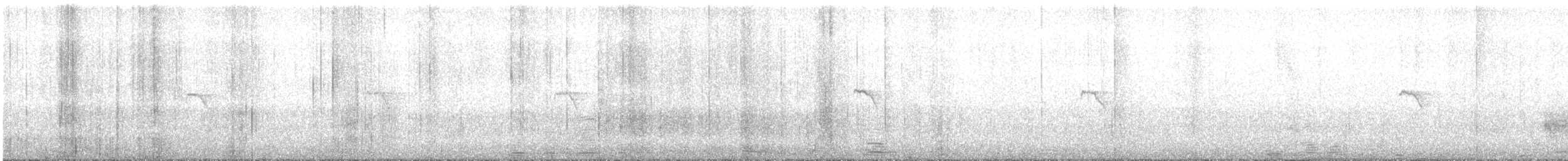 Txioa sp. - ML642149138