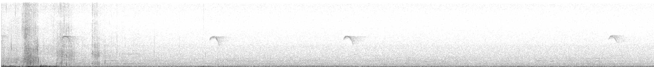 Txioa sp. - ML642149141