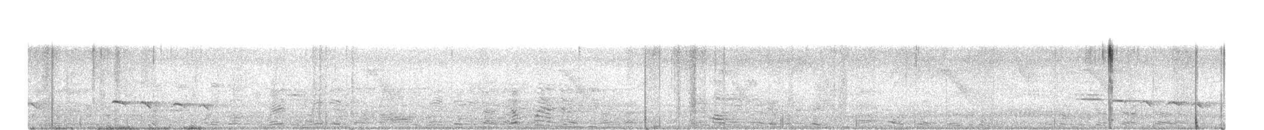 Banded Bay Cuckoo - ML642149239