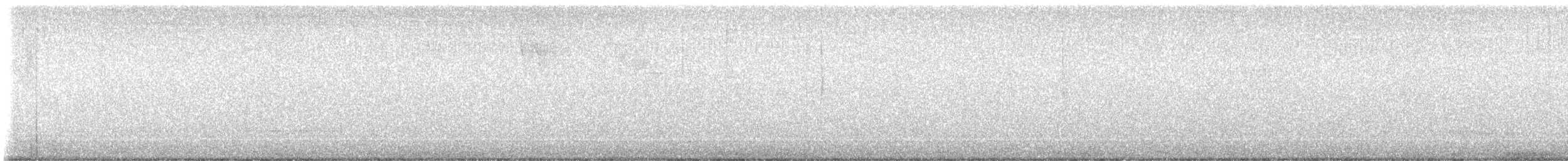 チビメジロハエトリ - ML642153576