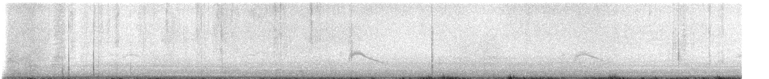 Couch's Kingbird - ML642155334