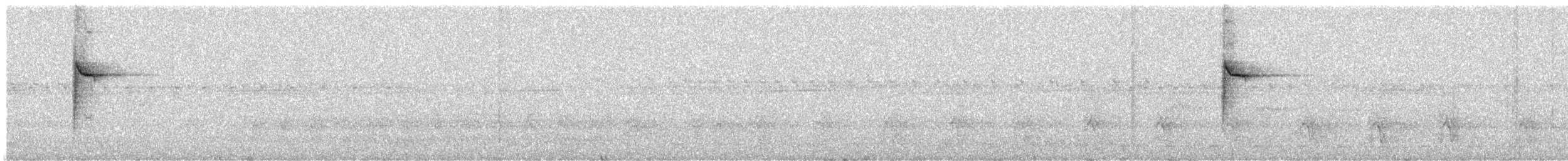 White-browed Warbler - ML642158317