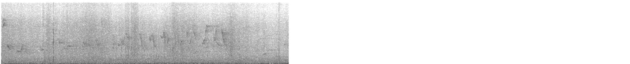 Chestnut-sided Warbler - ML642158387