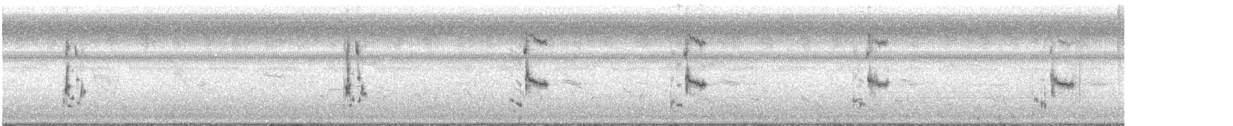 Louisianawürger - ML642158524