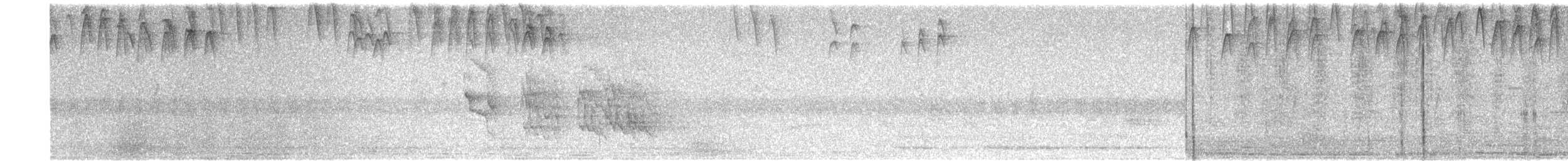 Streak-backed Oriole - ML642160926