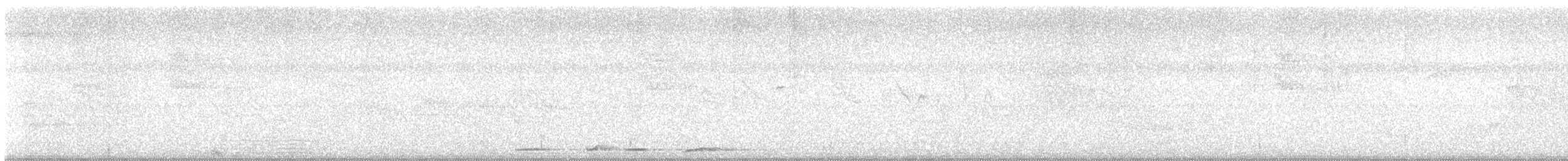holub krátkozobý - ML642160940