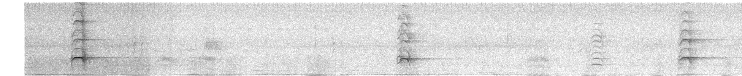 White-throated Magpie-Jay - ML642160942