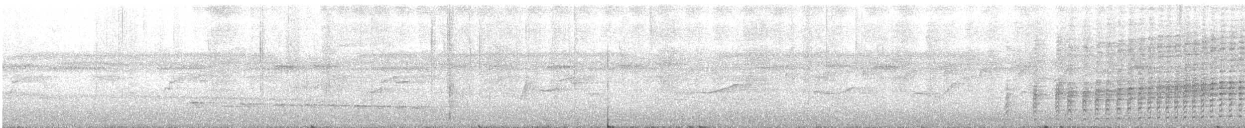 Peruvian Recurvebill - ML642162749