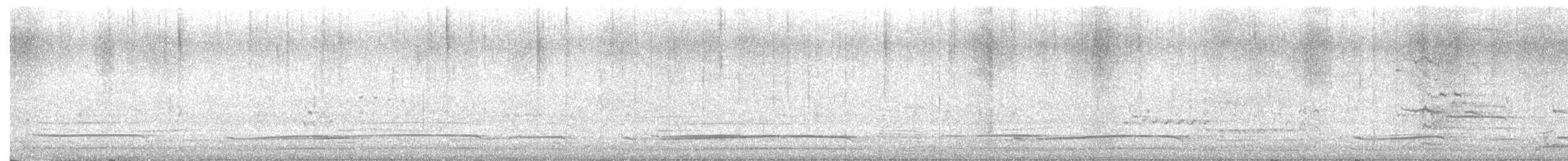 American Herring Gull - ML642166866
