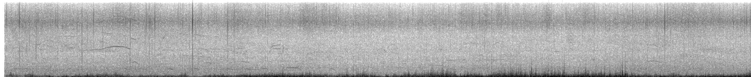 American Herring Gull - ML642166957