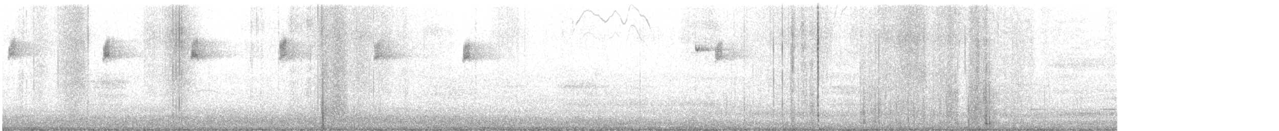 Blackpoll Warbler - ML642167450