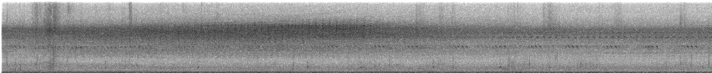 Tacchino selvatico - ML642170193
