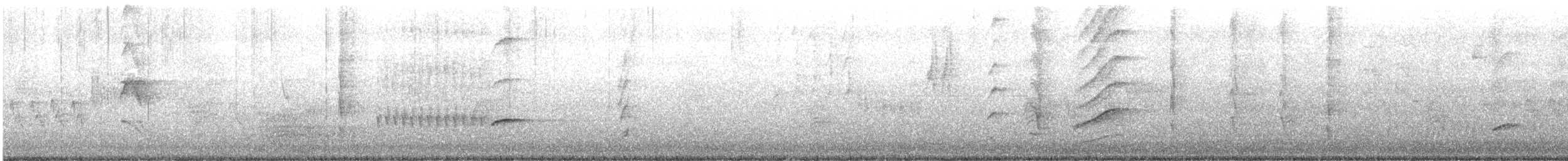 Austral Blackbird - ML642170268