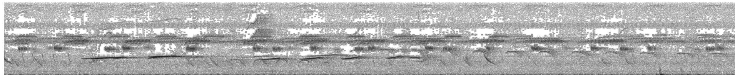 Streifenkuckuck - ML642171021