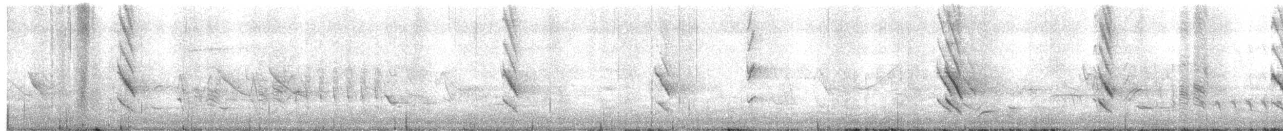 Austral Blackbird - ML642171487