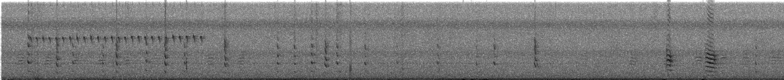 Garrapo kanadarra - ML642172063