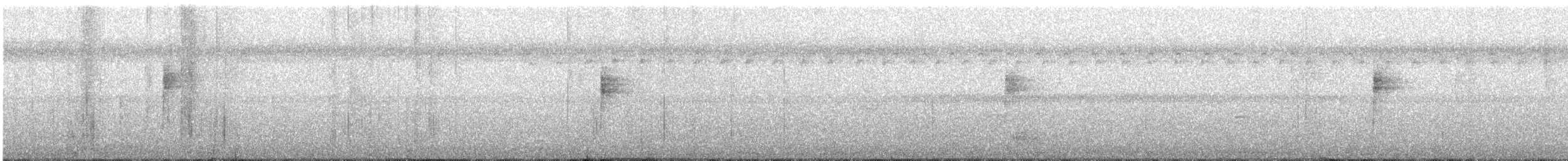 Northern Waterthrush - ML642172628