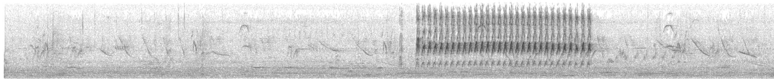 Pic varié - ML642173279