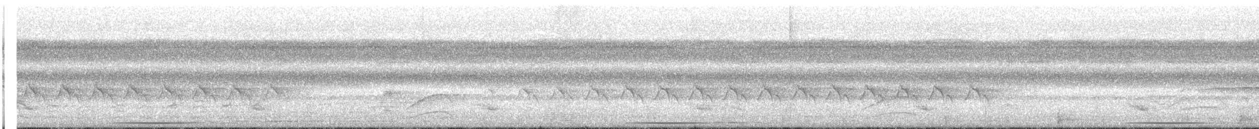 Viréon à plastron - ML642173377