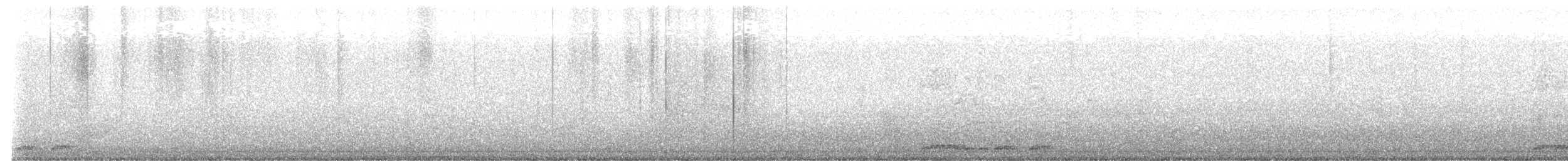 Zebra Dove - ML642174295