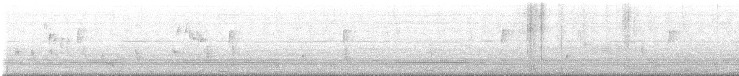 キタメジロハエトリ - ML642175309