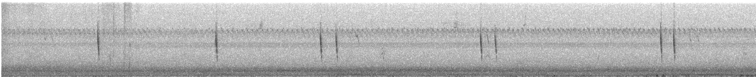 Sedge Wren - ML642176094