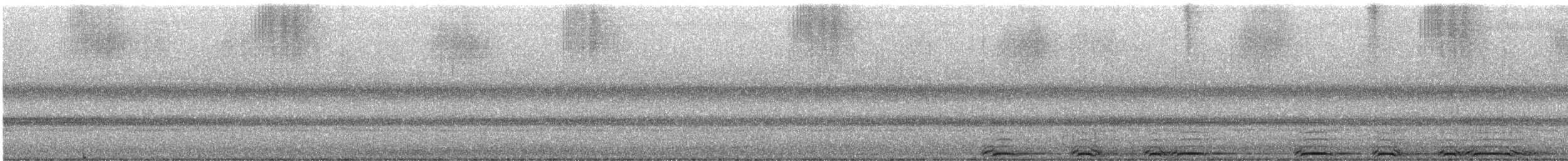 Barred Owl - ML642176132