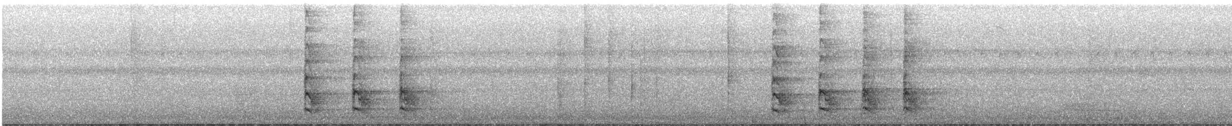 Red-bellied Woodpecker - ML642176306