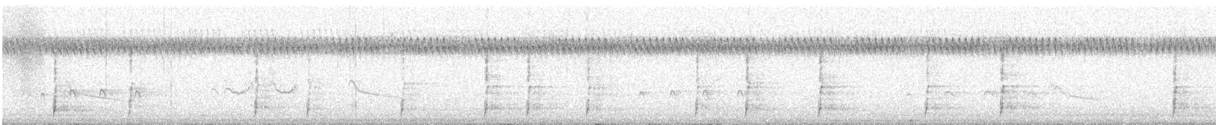 Tacchino selvatico - ML642177633