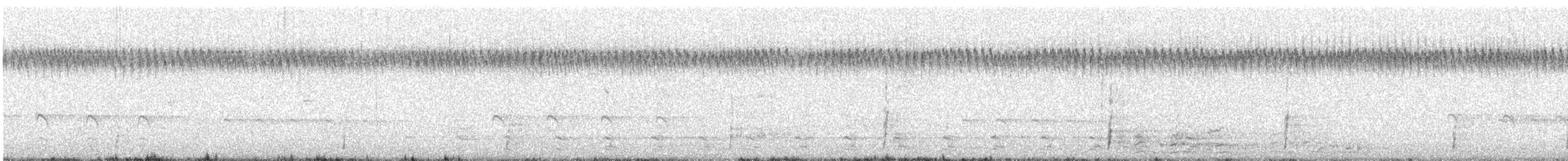 Tacchino selvatico - ML642177683